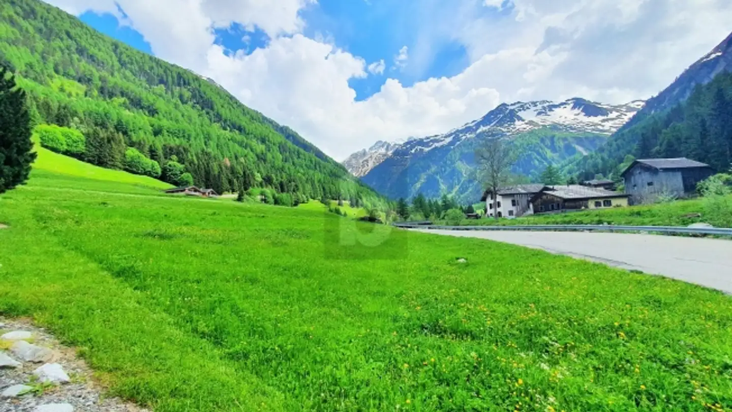 Constructible plot for sale - 1929 Trient - Photo 3