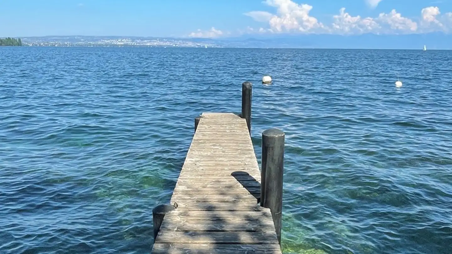 Casa singola in vendita - 1248 Hermance