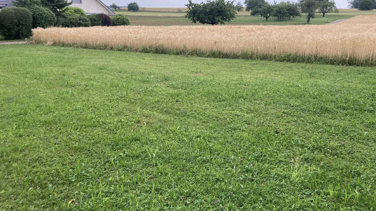 Terreno edificabile in vendita - Breitenweg, 4497 Rünenberg - Photo 3