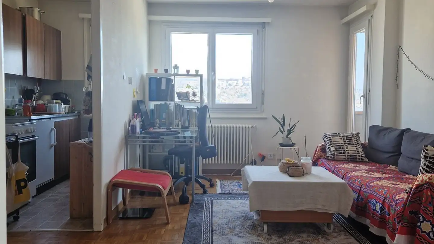 Appartamento in affitto - Rue De Crissier, 1020 Renens VD