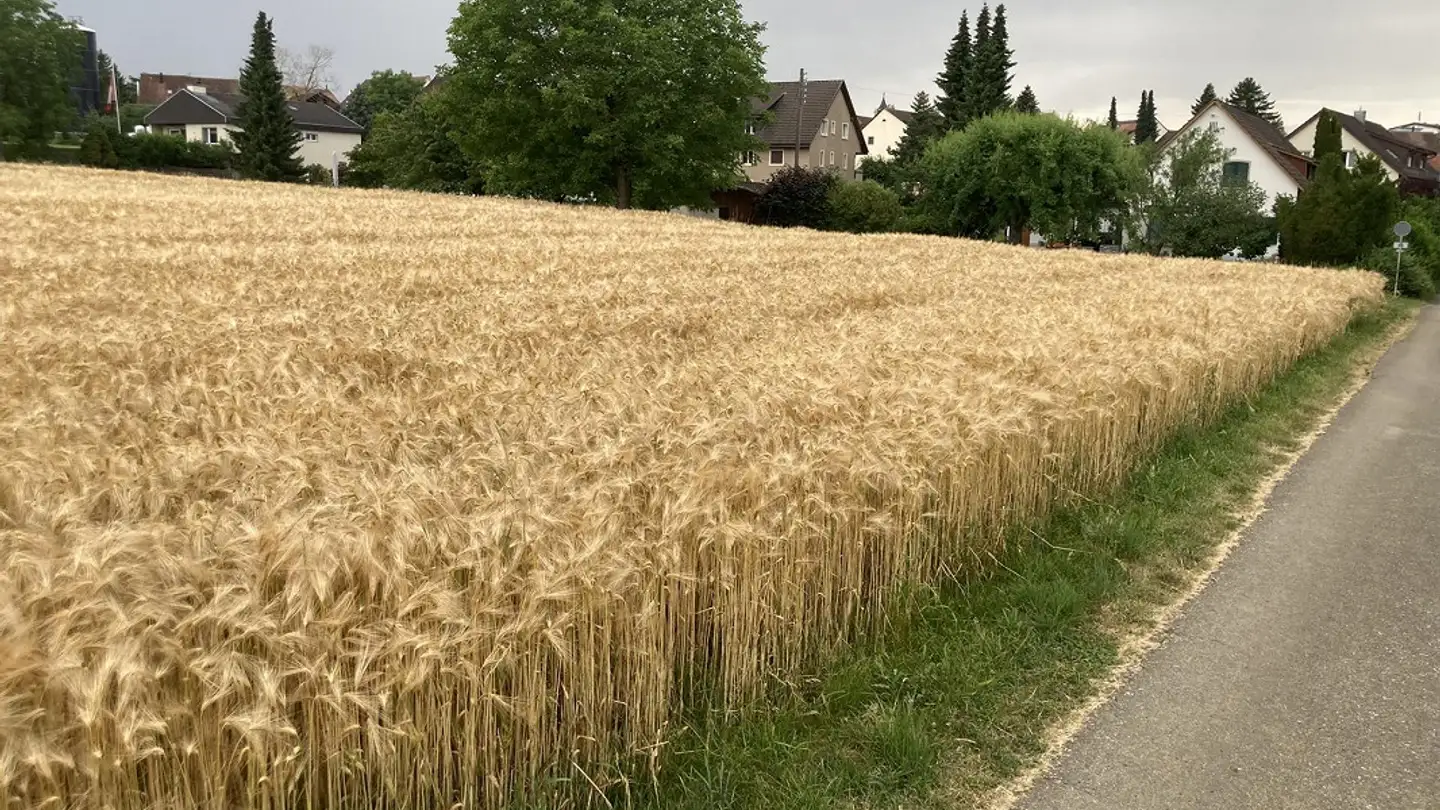 Terreno edificabile in vendita - Breitenweg, 4497 Rünenberg - Photo 2
