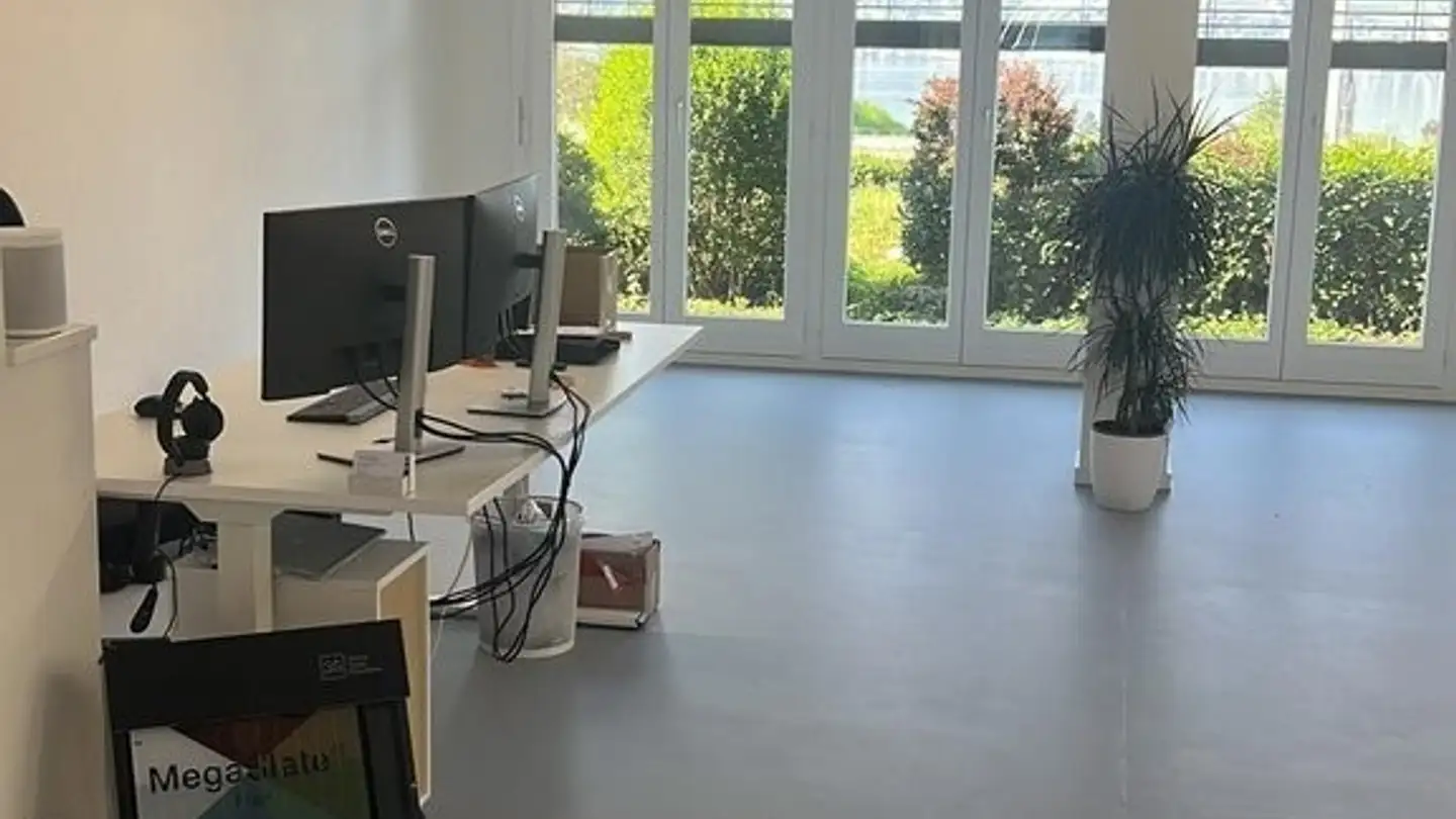 Commercial for rent - Gewerbestrasse 4, 8708 Männedorf - Photo 3