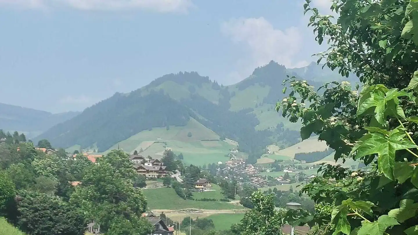 Terreno edificabile in vendita - Route De Biffé, 1653 Châtel-sur-Montsalvens - Foto 2