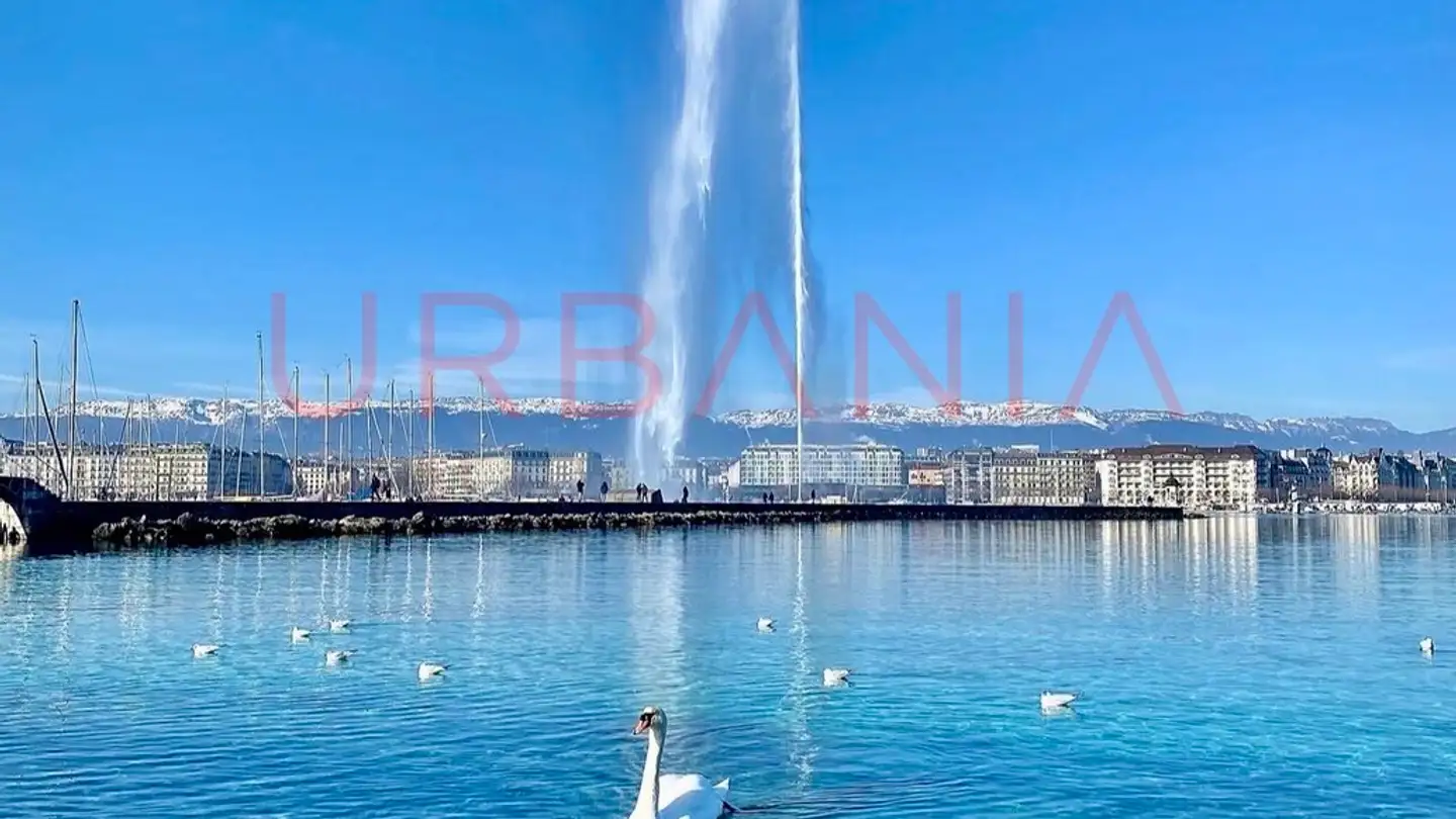 Mehrfamilienhaus kaufen - 1204 Genève