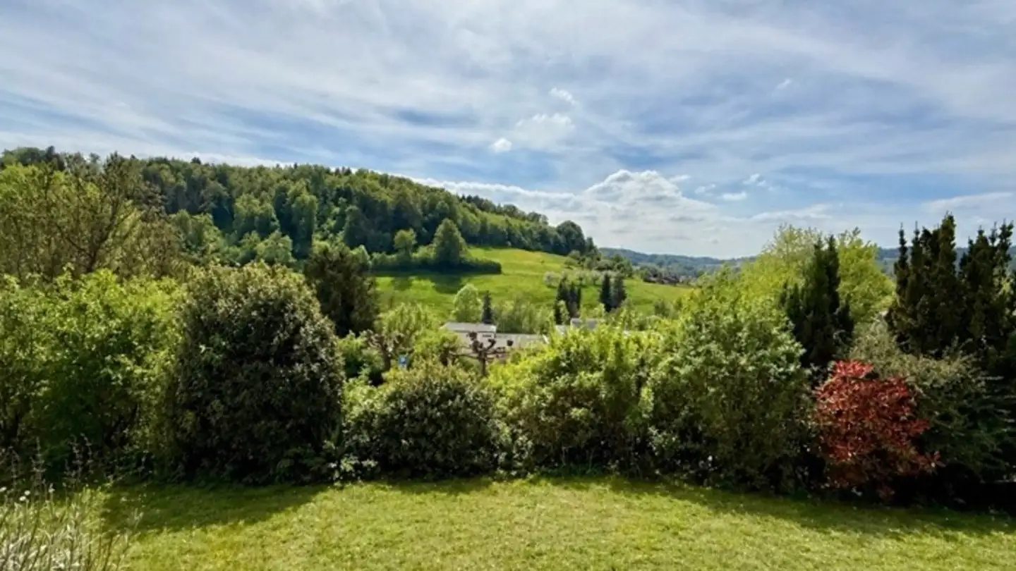 Einfamilienhaus kaufen - Im Hang 17, 8903 Birmensdorf ZH - Foto 3