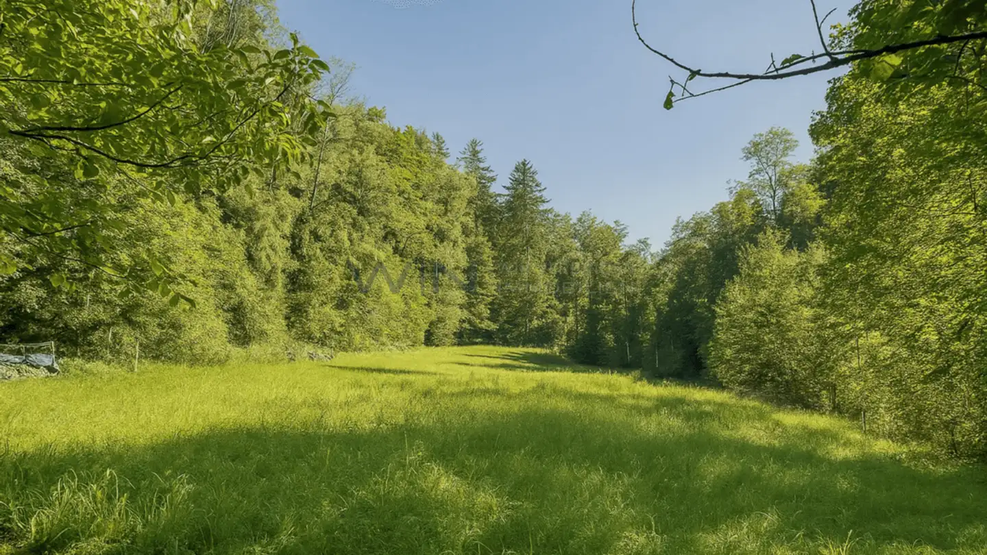 Single house for sale - 9517 Mettlen - Photo 2