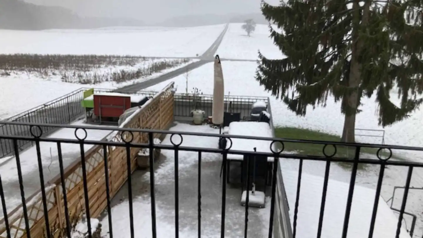 Mehrfamilienhaus kaufen - 1033 Cheseaux-sur-Lausanne