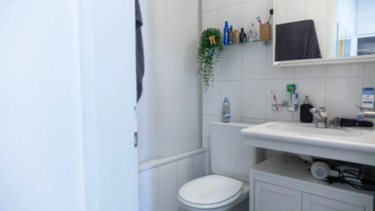 Wohnung mieten - Im Geissacker 30, 8404 Winterthur - Foto 4