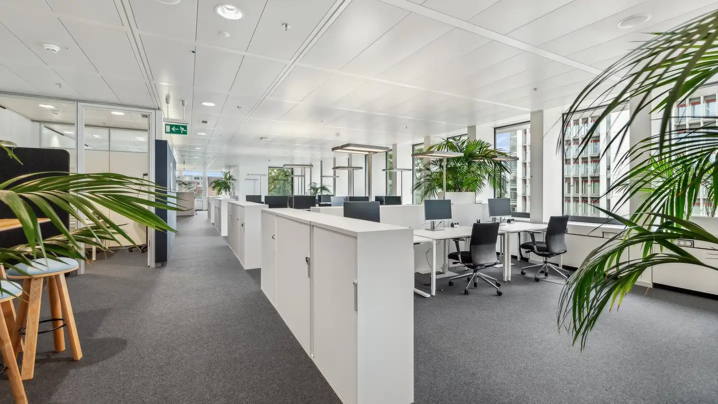 Spazio ufficio in affitto - Lichtstrasse 35, 4056 Basel - Foto 3