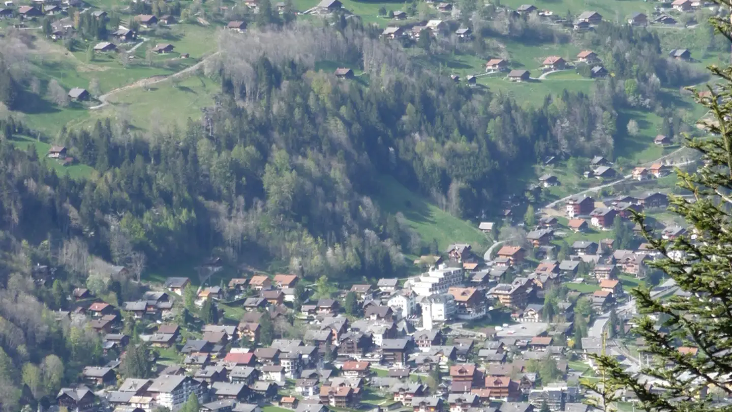 Constructible plot for sale - 1874 Champéry - Photo 2