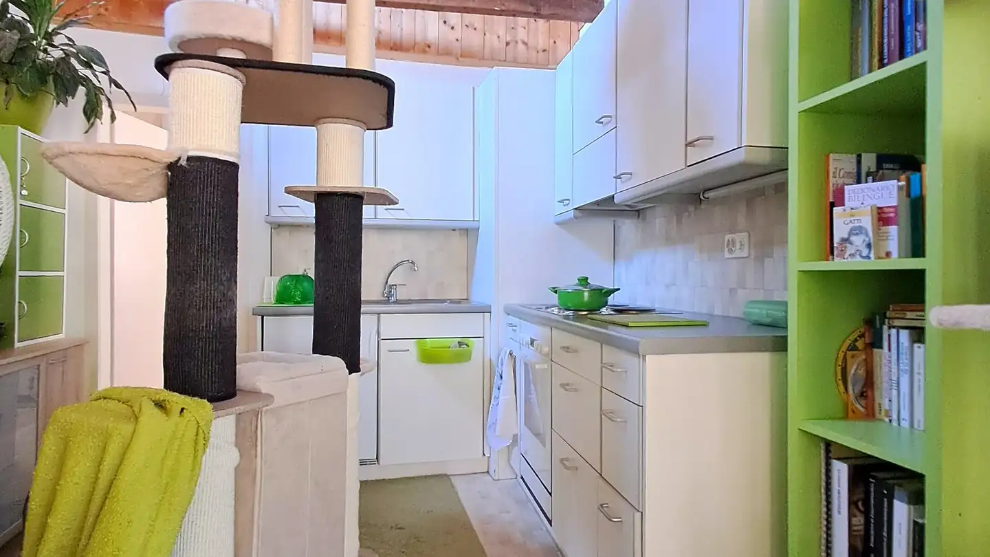 Appartement à louer - Piazza Torch 2, 6821 Rovio - Photo 3