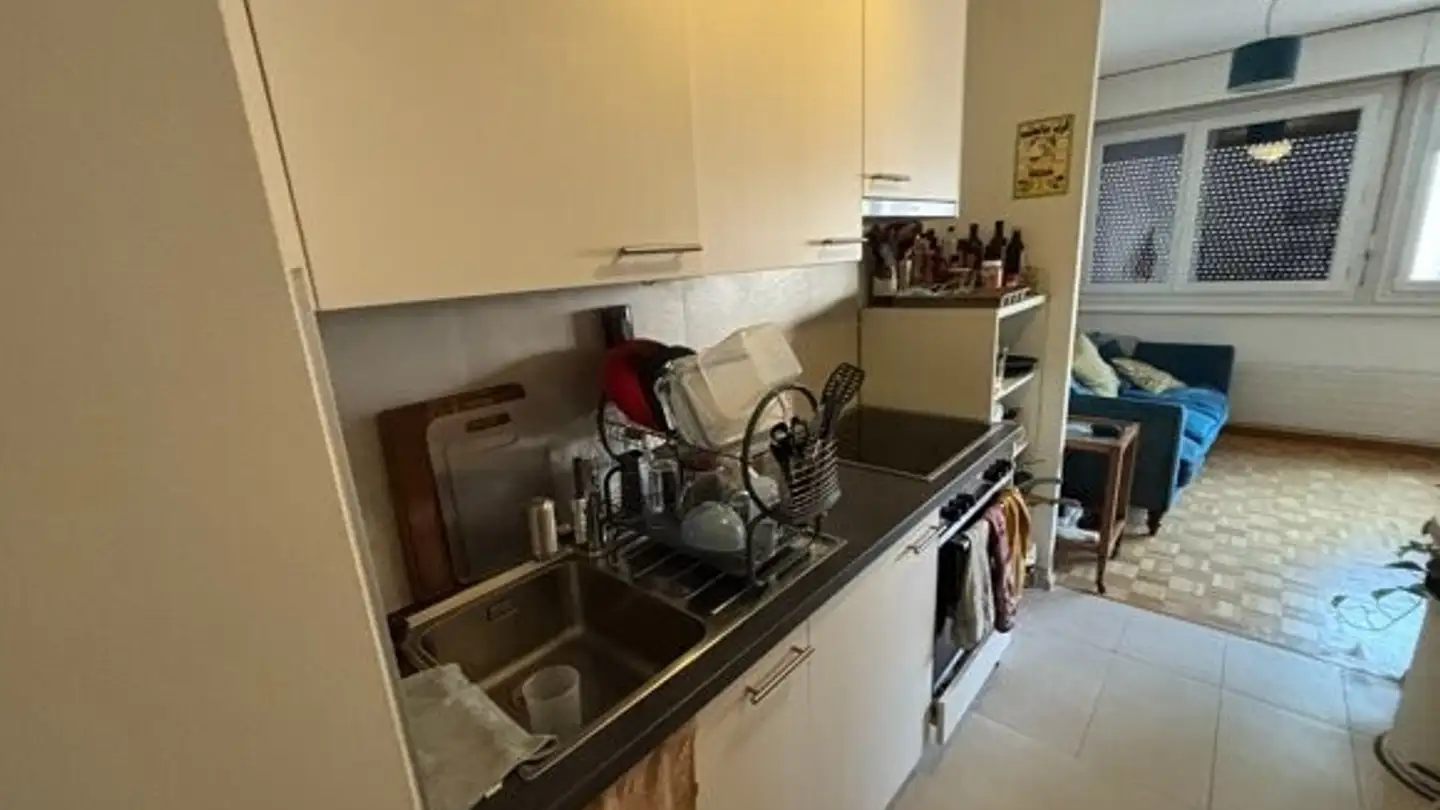 Appartamento in affitto - Boulevard De Saint-Georges 71, 1205 Genève - Foto 3