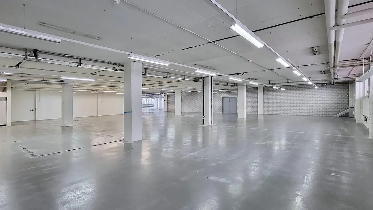 Storage space for rent - Gewerbestrasse 16, 8132 Egg b. Zürich