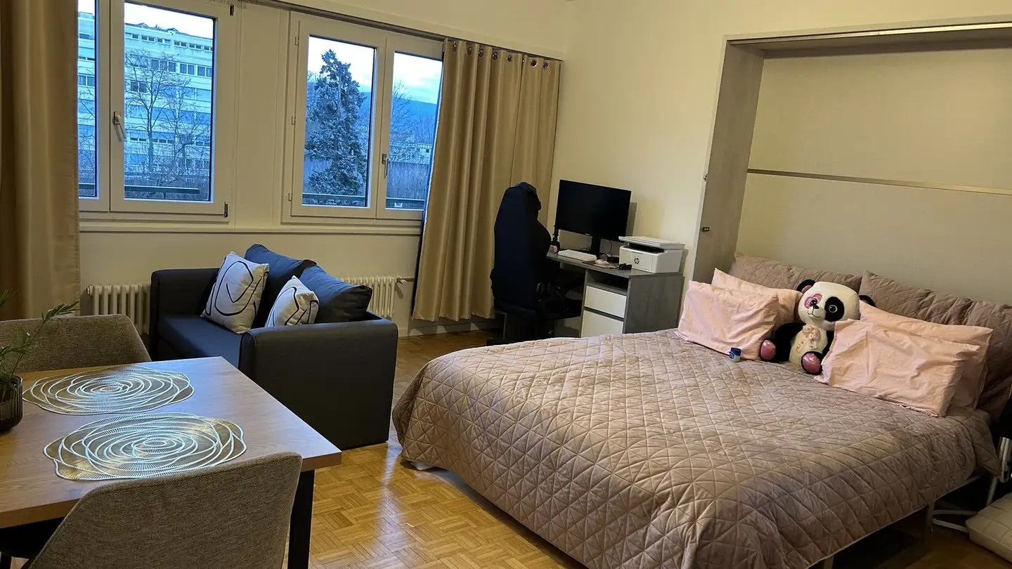 Appartement à louer - Chemin De Pont-Céard, 1290 Versoix - Photo 2