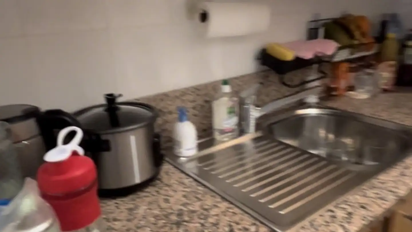 Appartement à louer - Chemin De Pont-Céard, 1290 Versoix - Photo 4