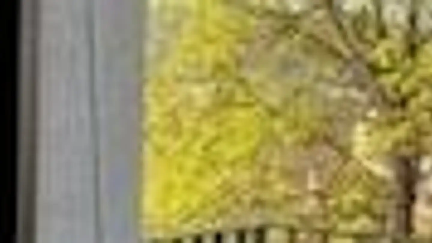 Wohnung mieten - Schmittenackerstrasse 10, 8304 Wallisellen - Foto 2