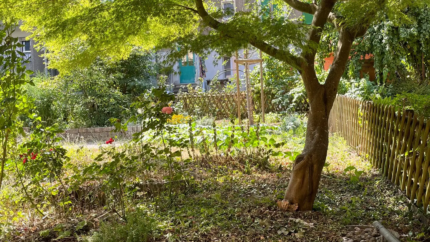 Appartamento in affitto - Tscharnerstrasse 36, 3007 Bern