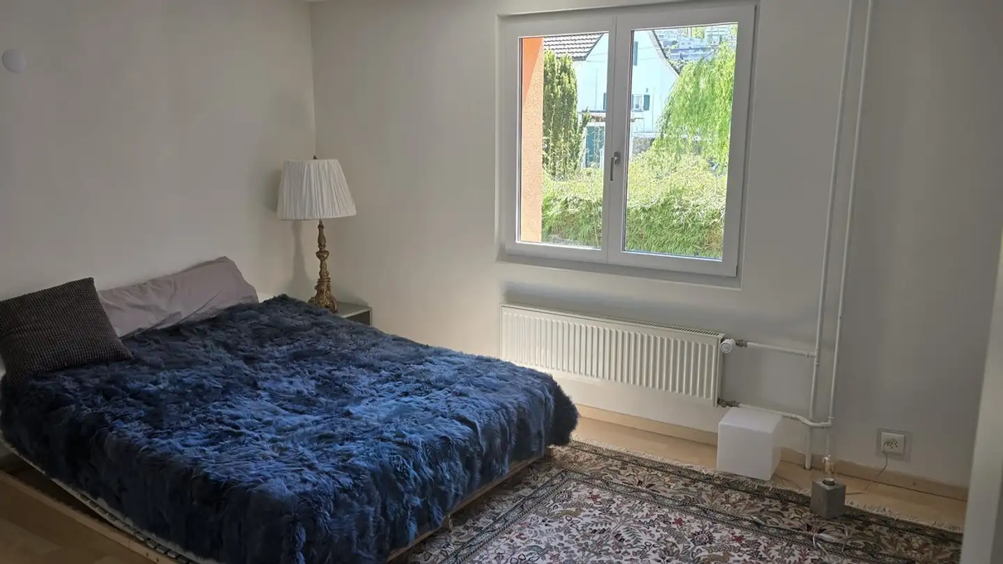 Single room for rent - 8807 Freienbach