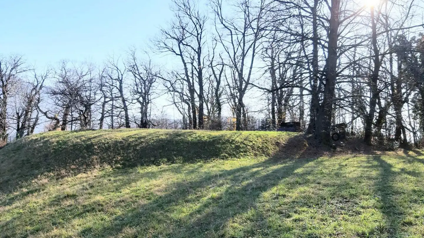 Terreno edificabile in vendita - 6954 Sala Capriasca - Foto 4