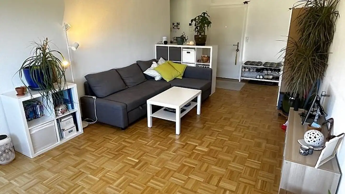 Appartamento ammobiliato in affitto - 2560 Nidau