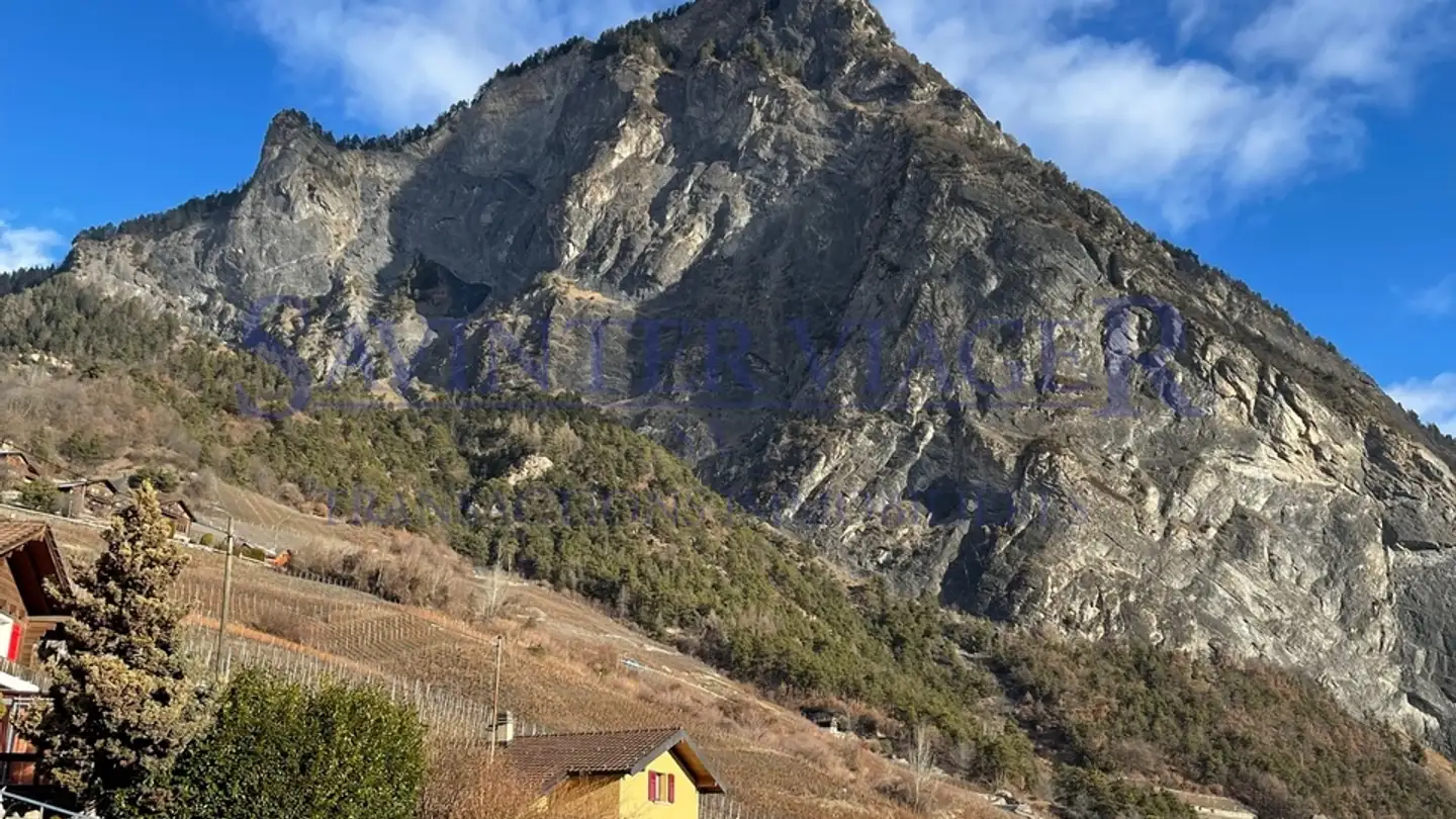 Chalet à vendre - 1912 Leytron - Photo 4