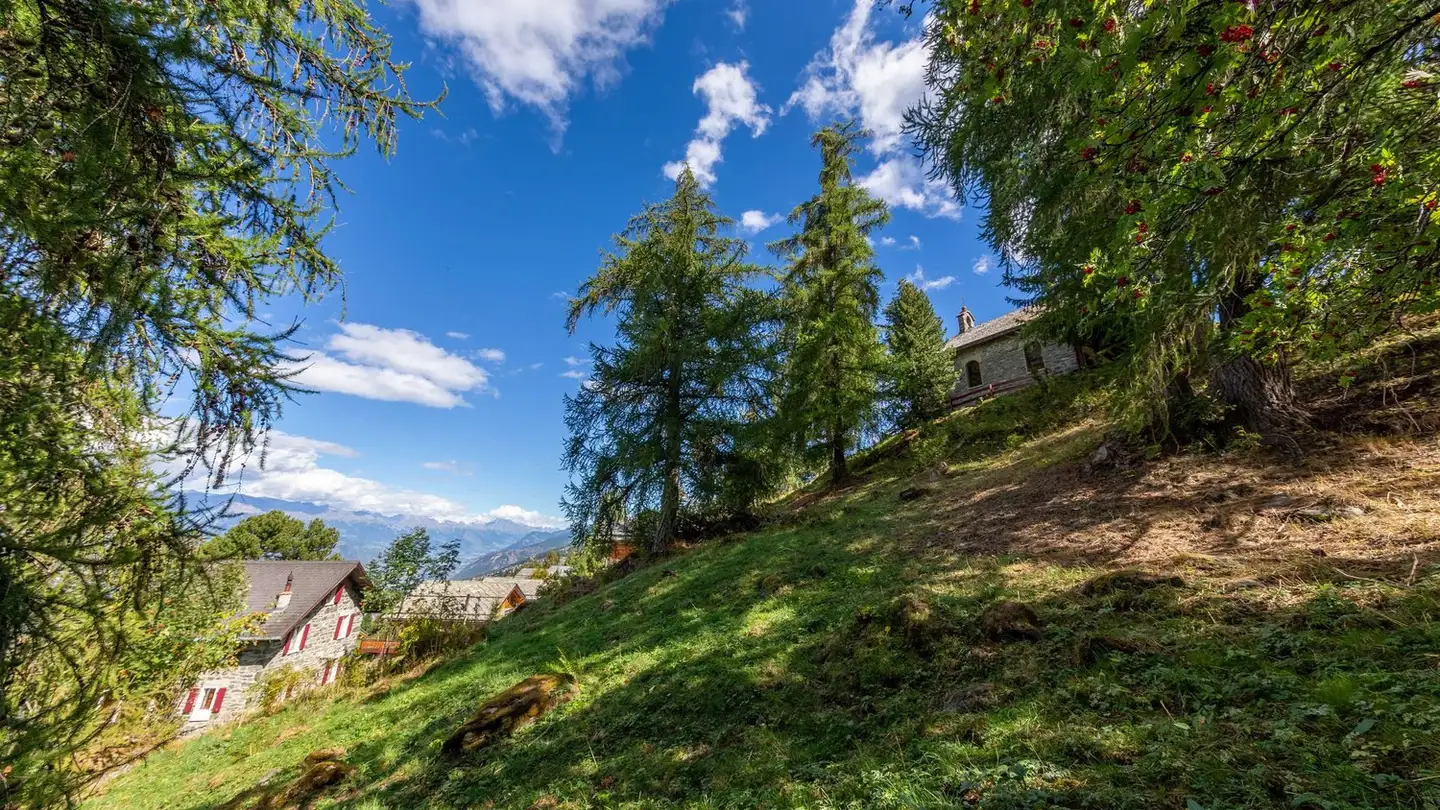 Chalet à vendre - Chemin Des Veillâs, 1997 Haute-Nendaz - Photo 2