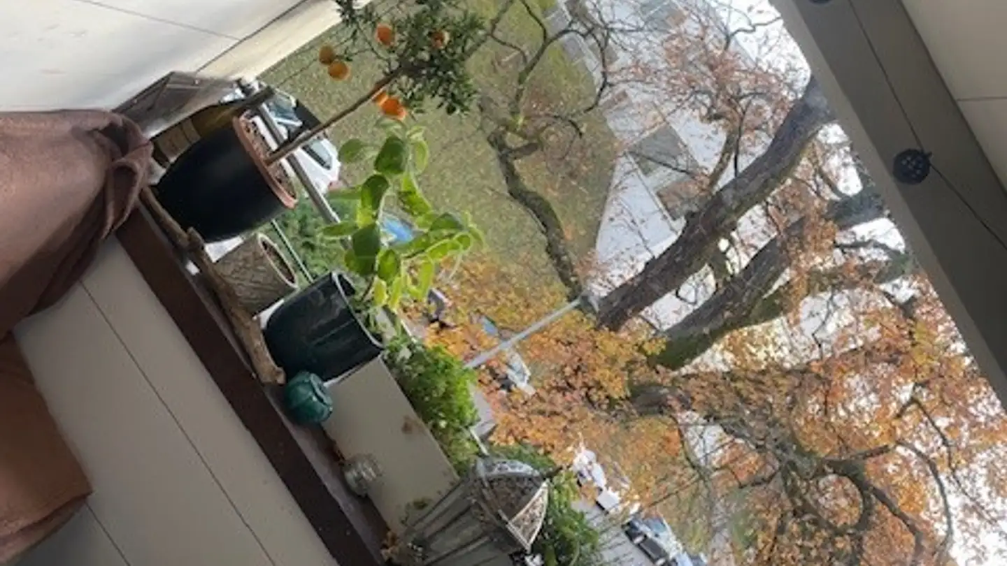 Appartamento in affitto - 3008 Bern - Photo 3