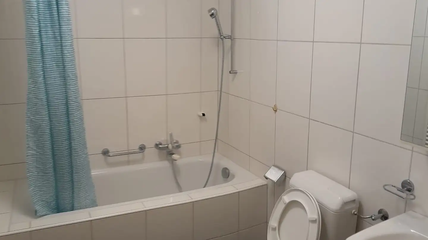 Furnished apartment for rent - Pumpwerkstrasse, 8105 Regensdorf - Photo 3