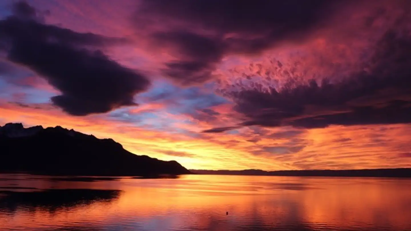 Wohnung mieten - Place Du Marché 4, 1820 Montreux