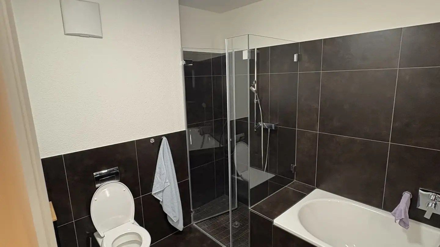 Appartement à louer - Birmensdorferstrasse 572, 8055 Zürich - Photo 3