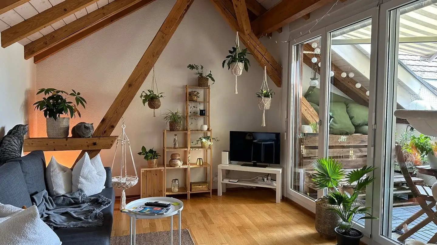 Appartement à louer - 8181 Höri - Photo 2