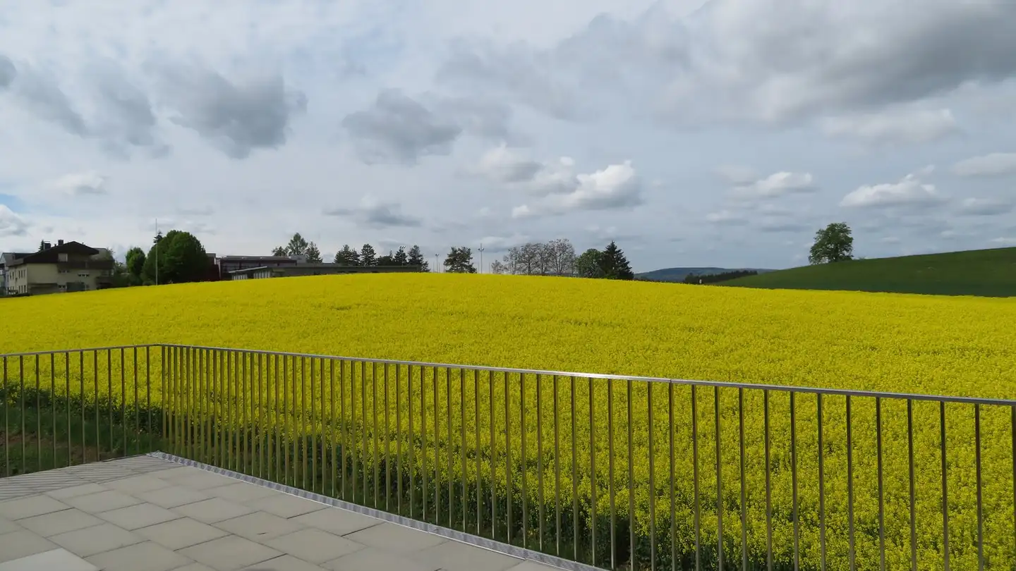 Attico in affitto - Hinterrietstrasse 21, 8317 Tagelswangen - Foto 3