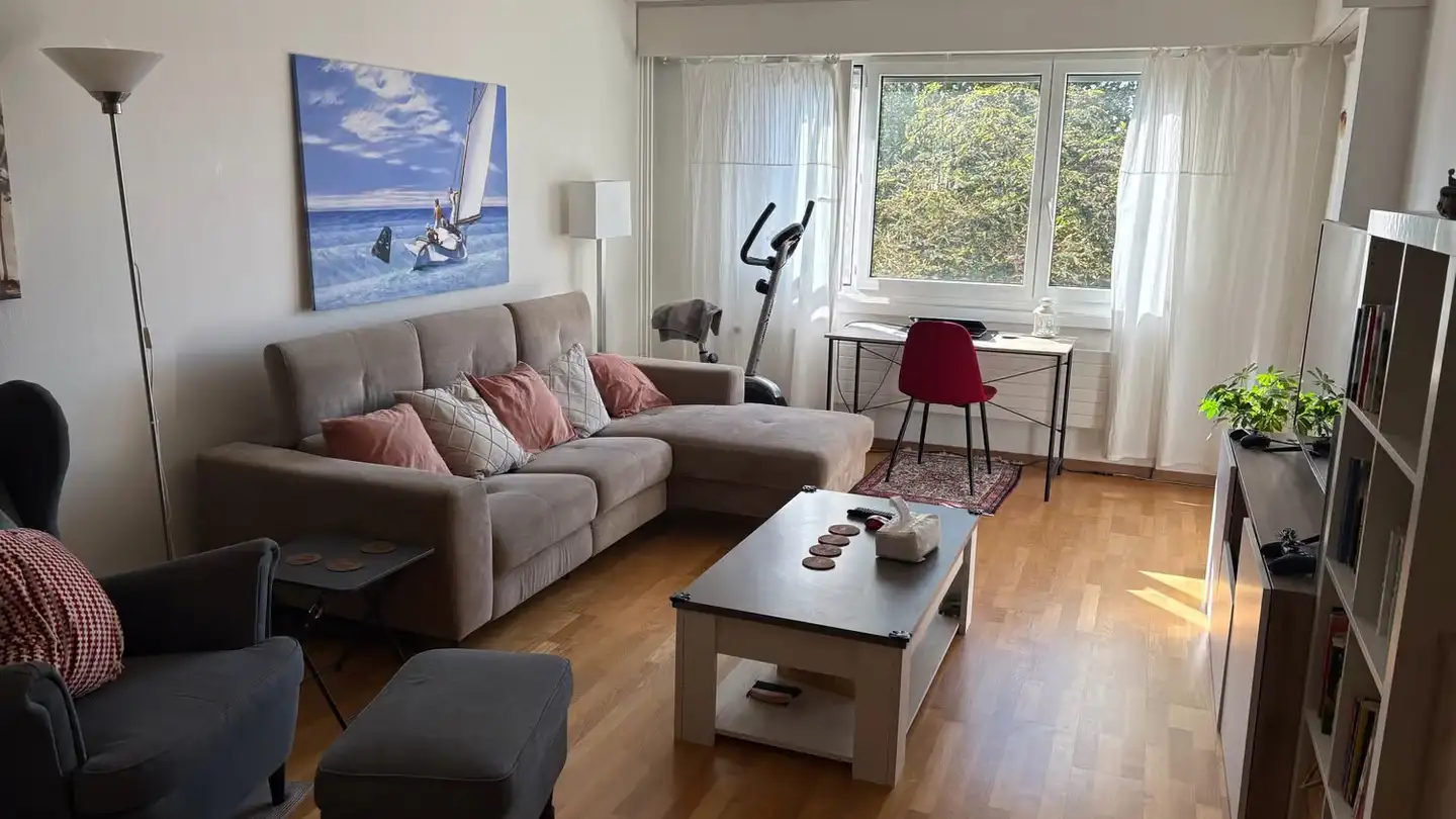 Appartement à louer - Müllerwis 5, 8606 Greifensee - Photo 2