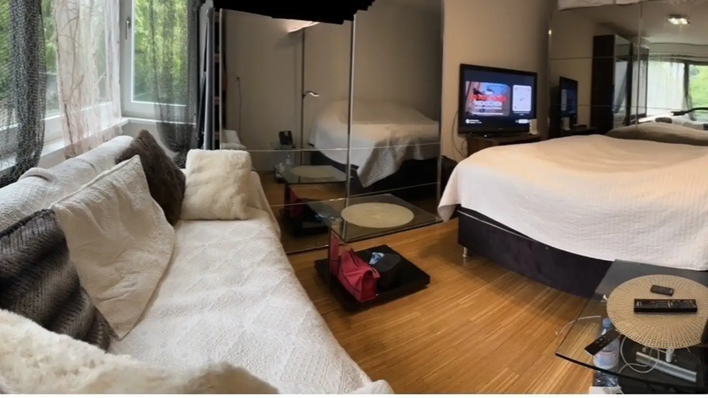 Single room for rent - Uetlibergstrasse, 8045 Zürich - Photo 3