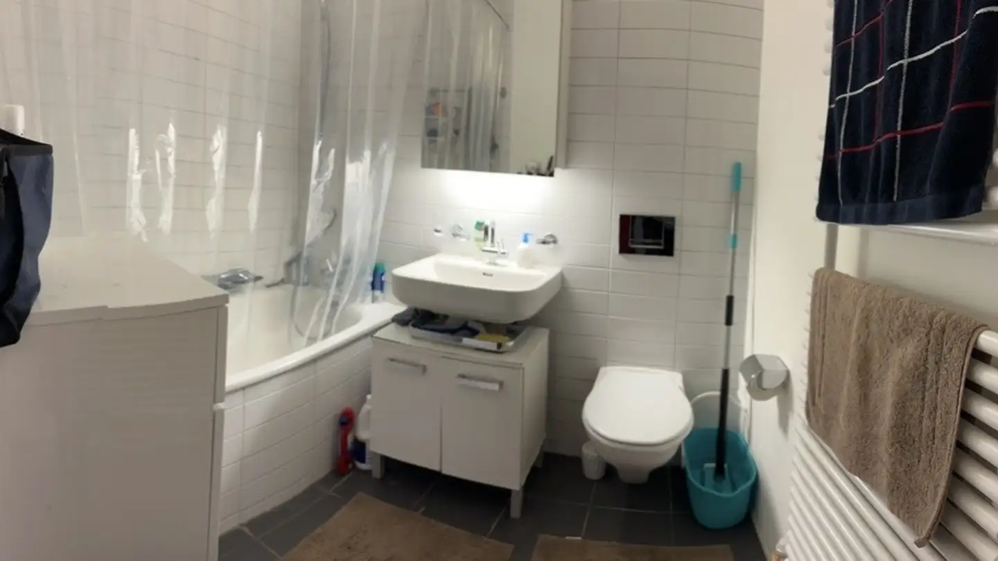 Single room for rent - Uetlibergstrasse, 8045 Zürich - Photo 2