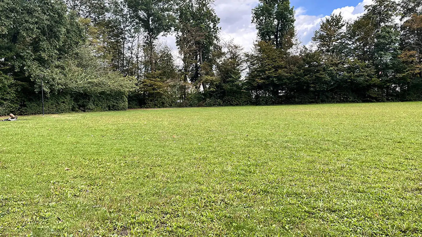 Villa in vendita - 1218 Le Grand-Saconnex - Foto 2