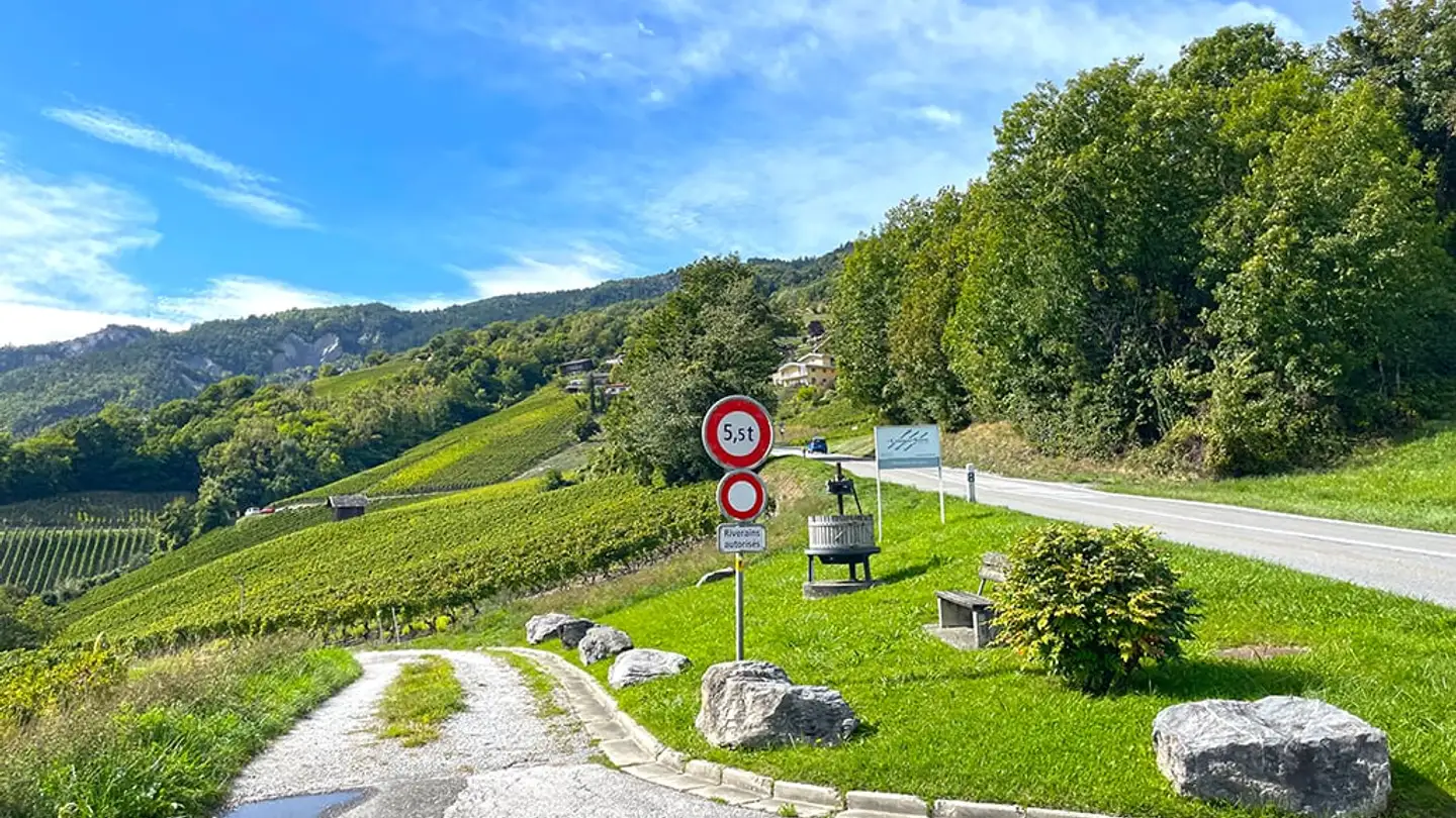 Casa singola in vendita - 3968 Veyras - Photo 2