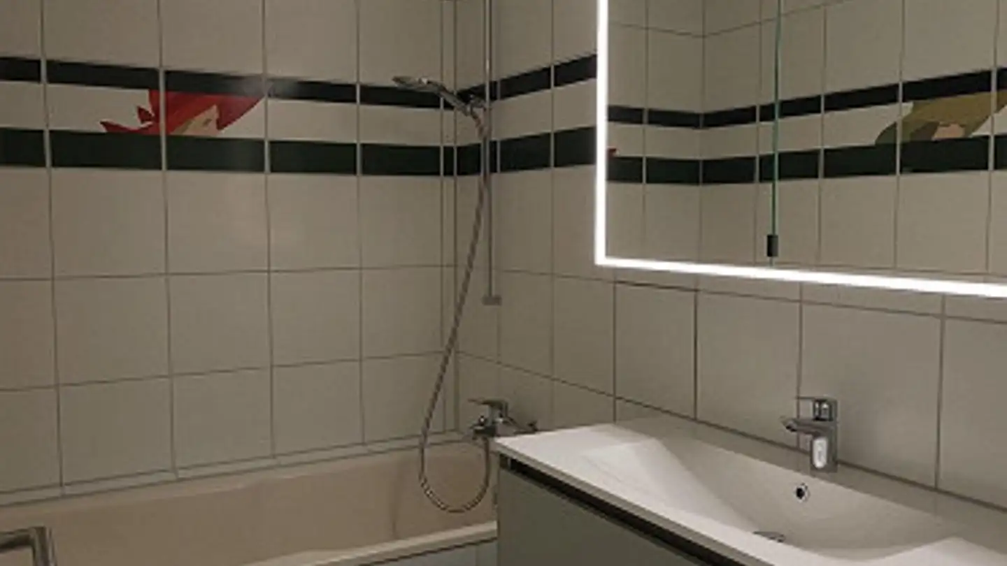 Wohnung mieten - Mischelistrasse 17, 4153 Reinach BL - Foto 4