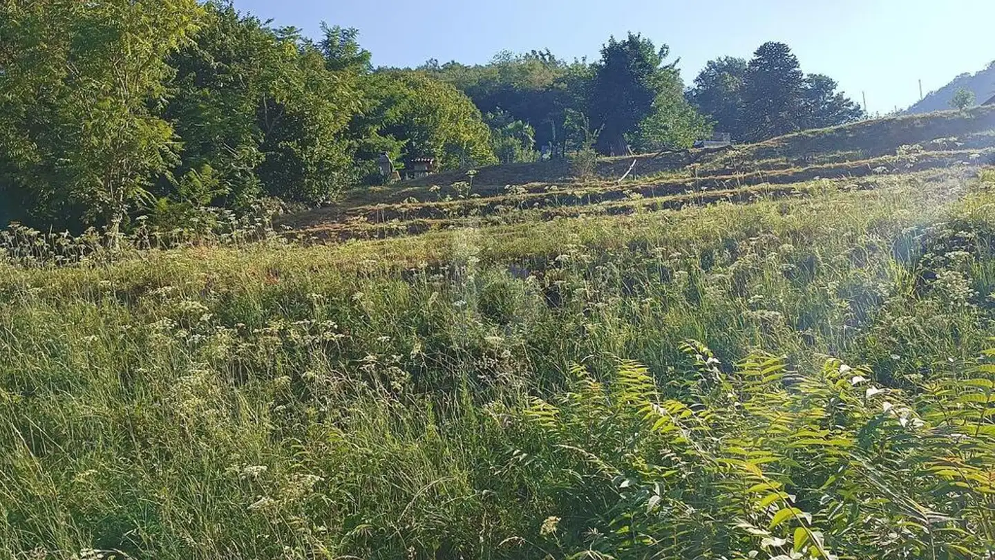 Constructible plot for sale - 6821 Rovio - Photo 2