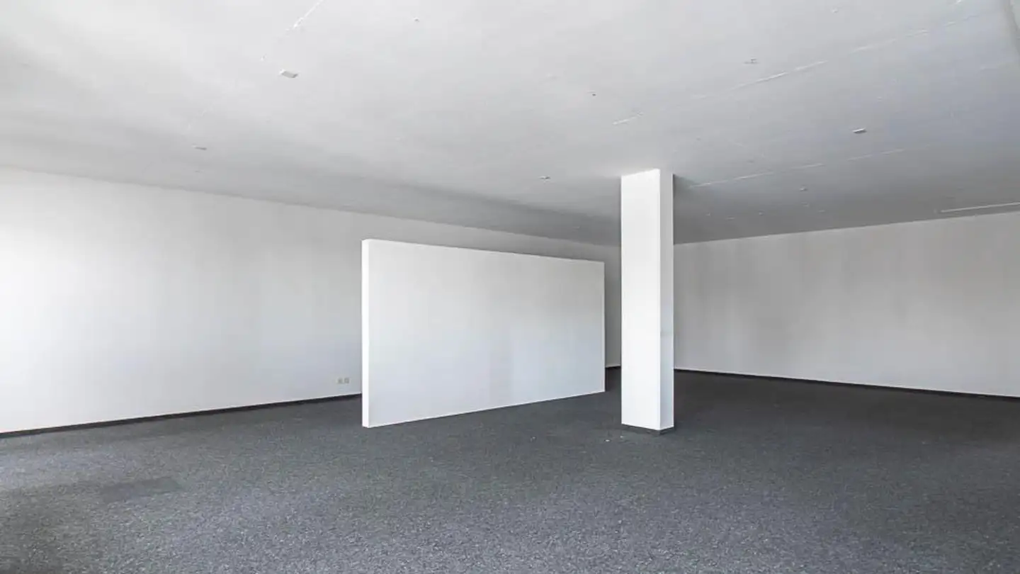 Commercial for rent - Flurhofstrasse 158, 9000 St. Gallen - Photo 2