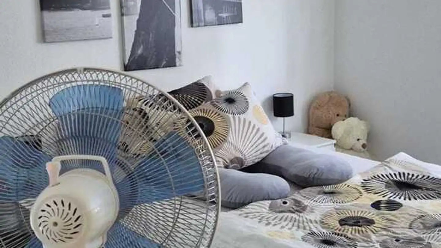 Appartement à vendre - Rue Centrale, 3960 Sierre - Photo 3