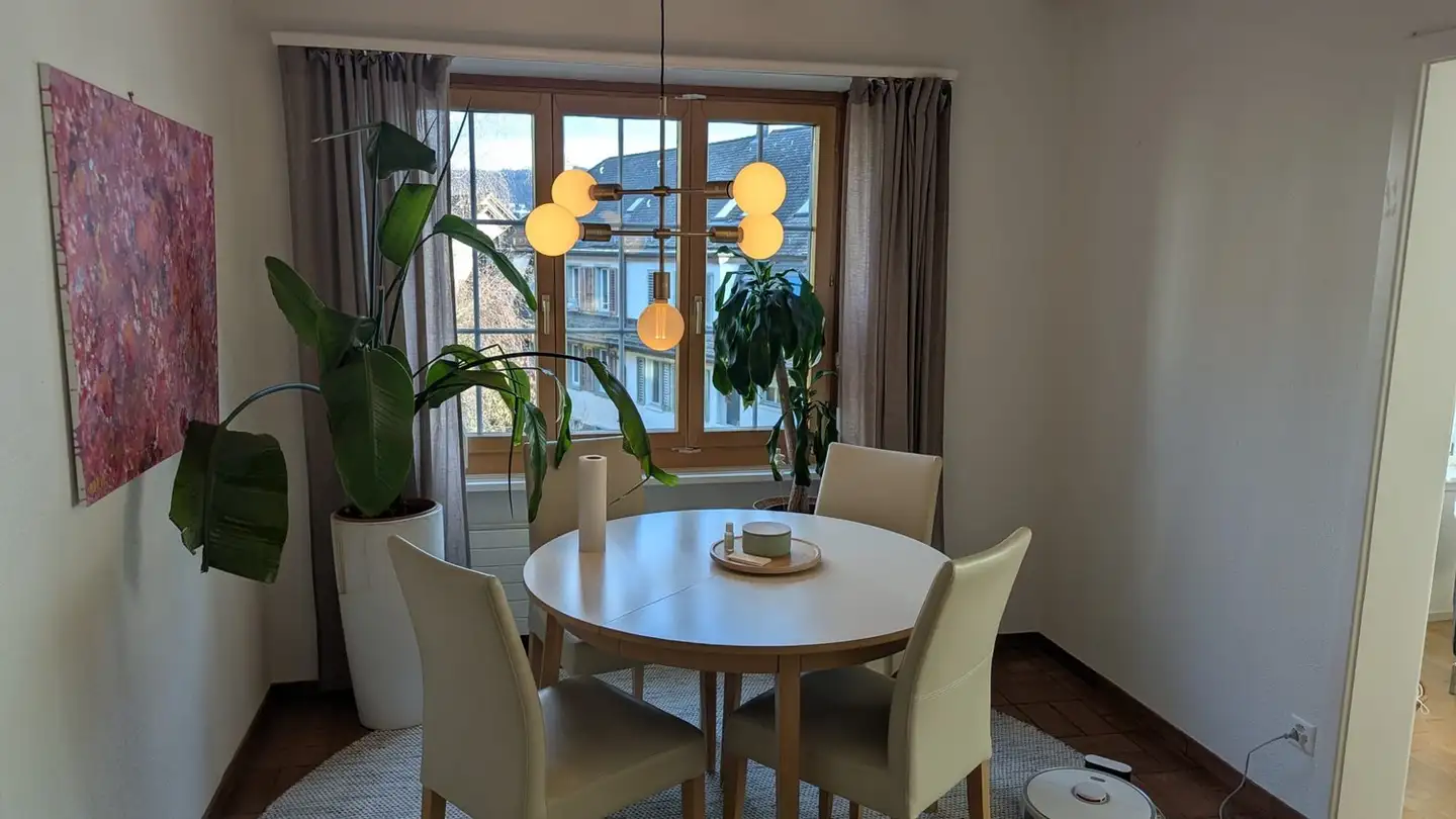 Chambre à louer - Griesernweg 11, 8037 Zürich - Photo 3