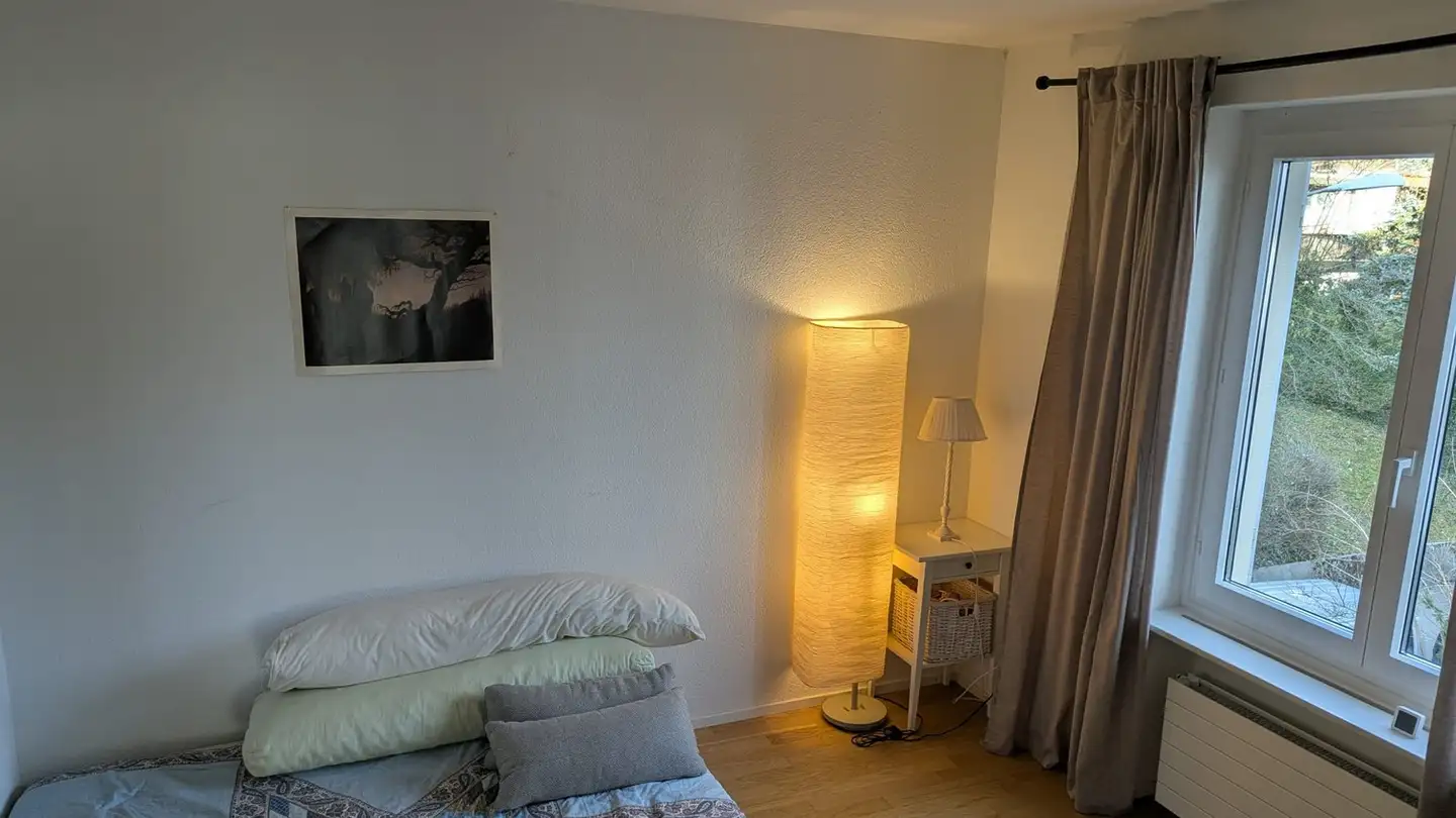 Chambre à louer - Griesernweg 11, 8037 Zürich - Photo 4
