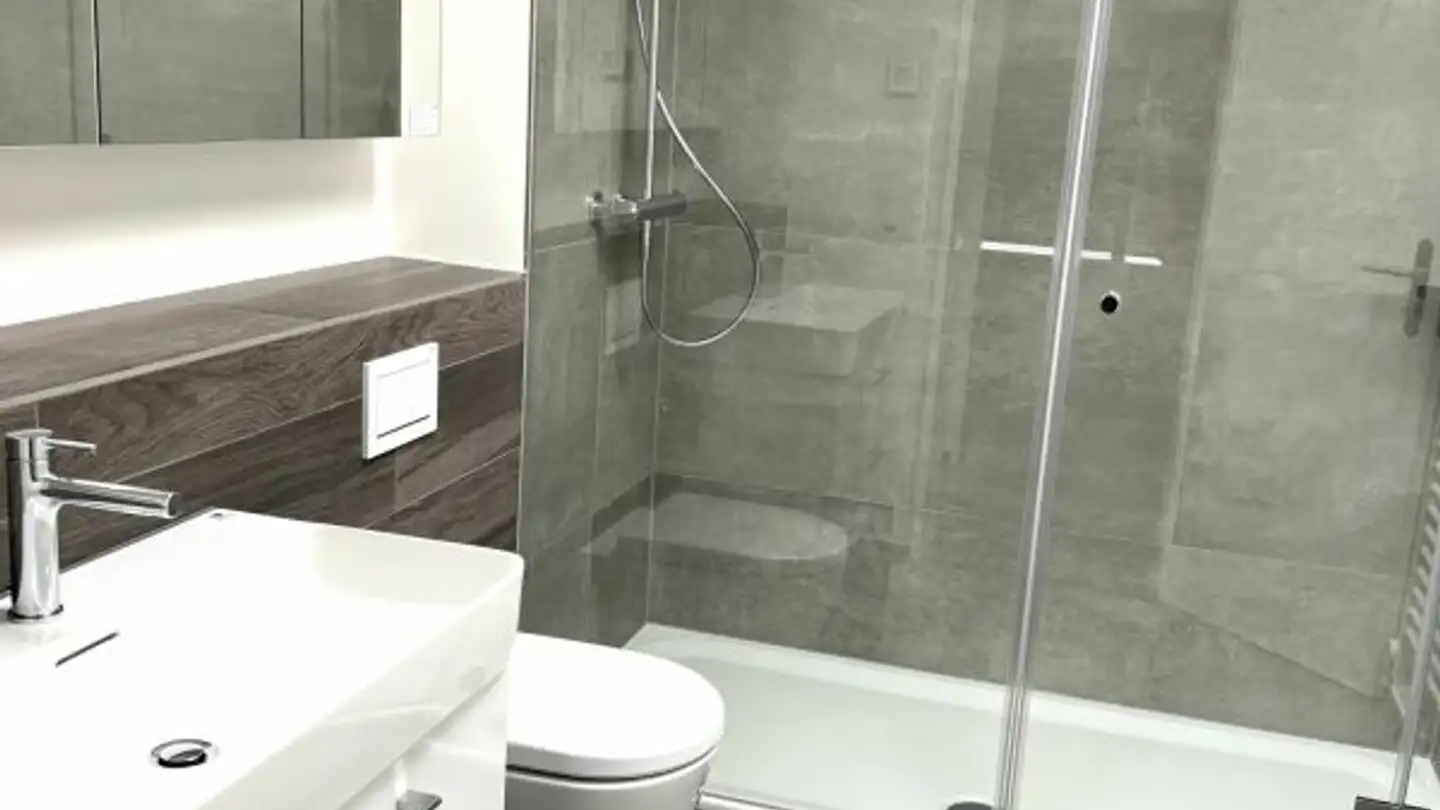 Stepped apartment for rent - Bienenstrasse 67, 4104 Oberwil BL - Photo 4