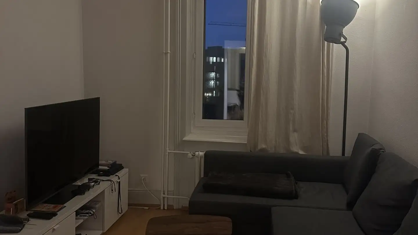 Chambre à louer - Eibenstrasse 3, 8045 Zürich - Photo 2