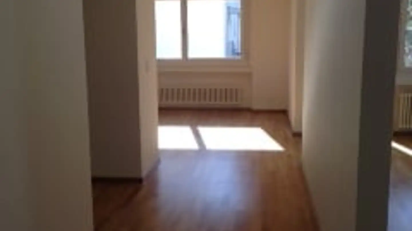 Appartamento in affitto - Alte Landstrasse 121c, 8800 Thalwil - Foto 3