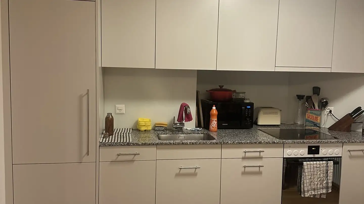 Chambre à louer - Eibenstrasse 3, 8045 Zürich - Photo 4