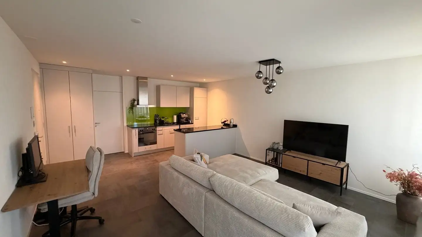 Appartamento in affitto - Steinerstrasse 36, 8475 Ossingen - Foto 2