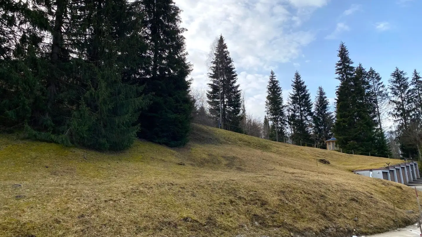 Terreno edificabile in vendita - Mösli, 1716 Schwarzsee - Photo 2