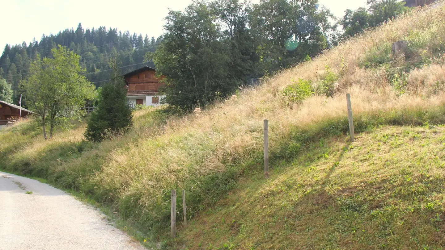 Terreno edificabile in vendita - Mösli, 1716 Schwarzsee - Photo 3